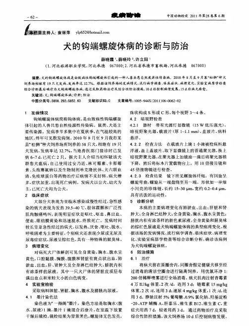 犬的钩端螺旋体病的诊断与防治