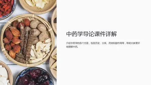 中药学导论课件详解