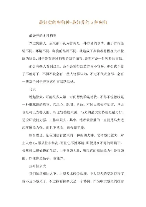 最好卖的狗狗种-最好养的5种狗狗