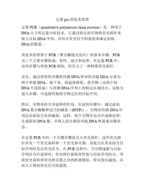 定量pcr的技术原理