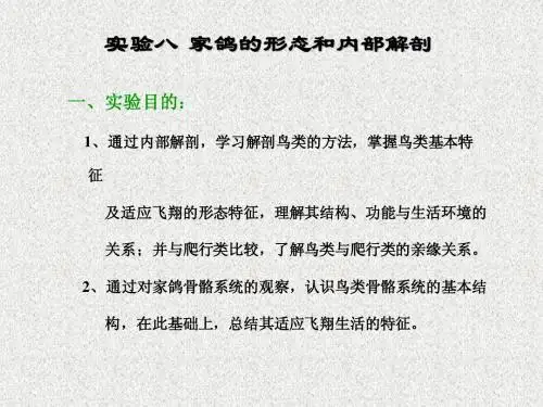 实验八家鸽的形态和内部解剖