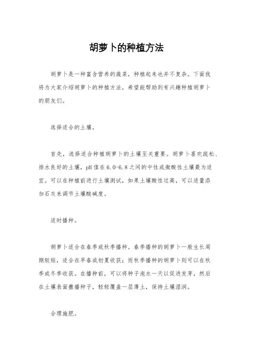 胡萝卜的种植方法