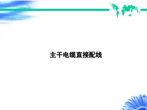 知识点主干电缆直接配线课件.