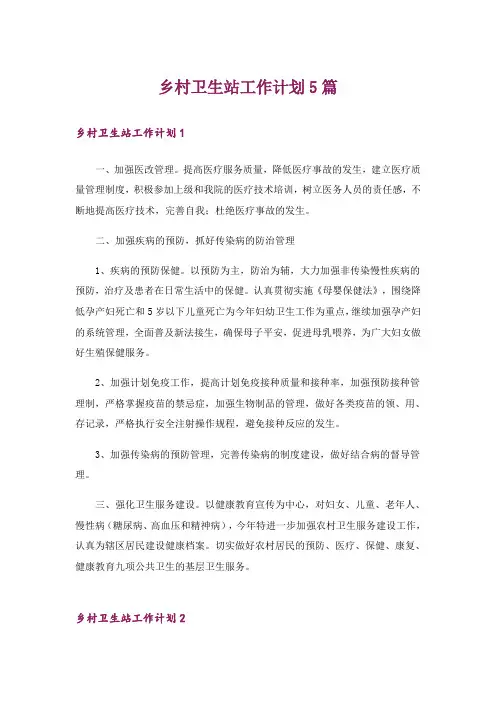 乡村卫生站工作计划5篇