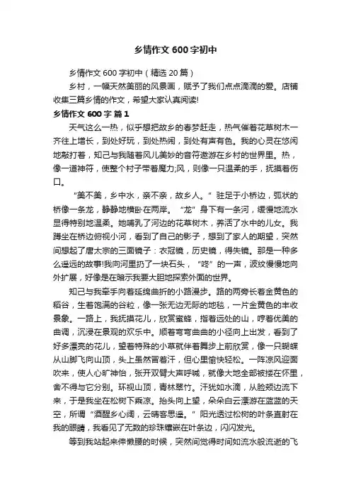 乡情作文600字初中