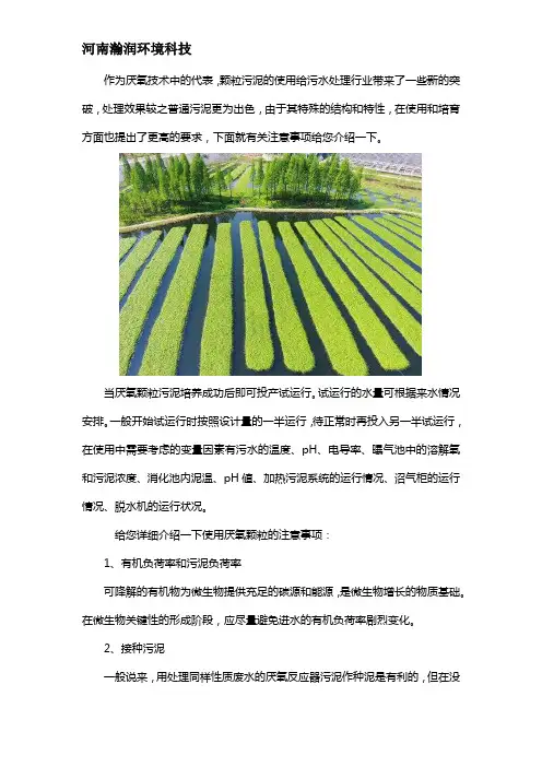 厌氧颗粒污泥在使用中的注意事项