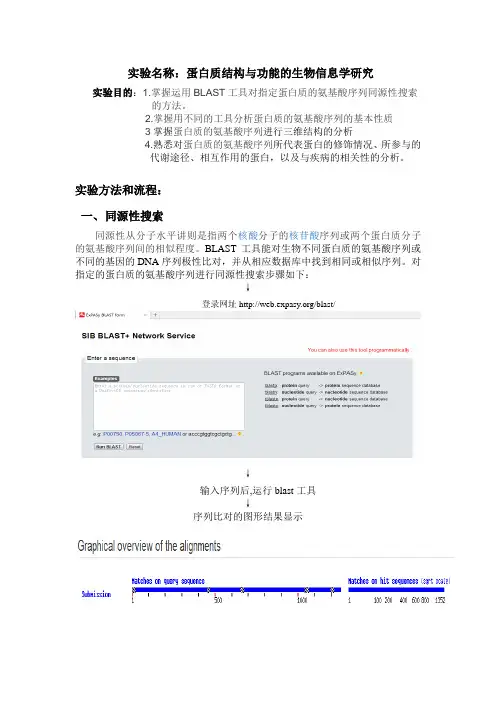 蛋白质结构与功能的生物信息学研究课案