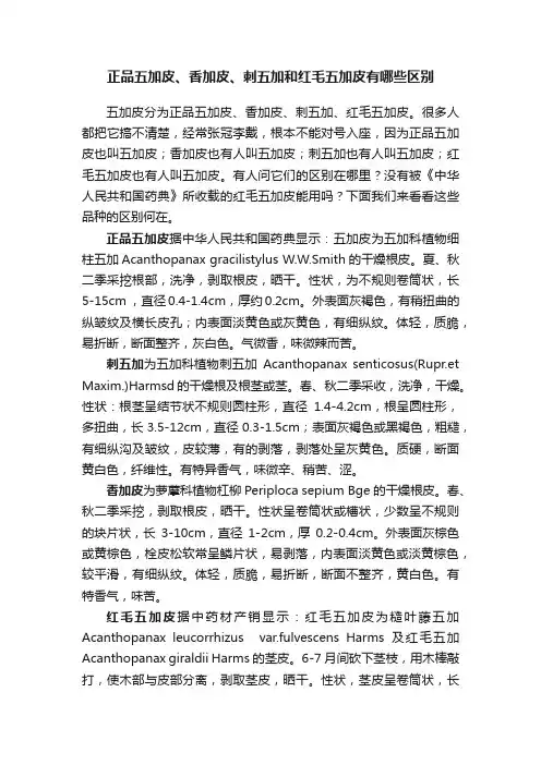 正品五加皮、香加皮、刺五加和红毛五加皮有哪些区别