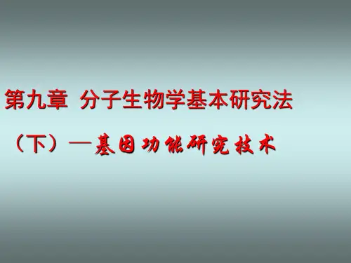 现代分子生物学-第九章 分子生物学基本研究法(下)-基因功能研究技术