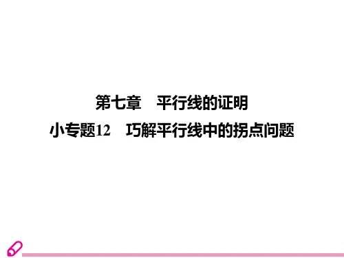 小专题  12  巧解平行线中的拐点问题