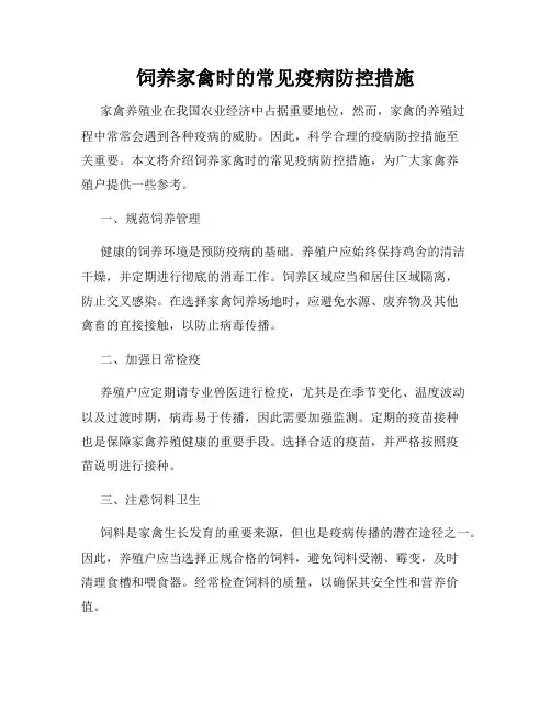 饲养家禽时的常见疫病防控措施