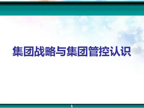 集团战略与管控