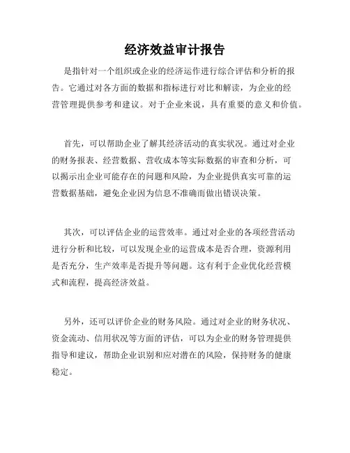 经济效益审计报告