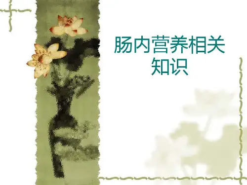 肠内营养