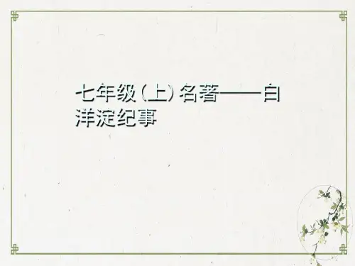 部编版七年级语文上册名著导读课件：白洋淀纪事PPT课件
