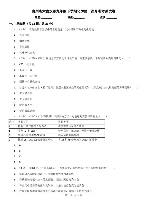 贵州省六盘水市九年级下学期化学第一次月考考试试卷