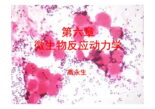 第九章 微生物反应动力学