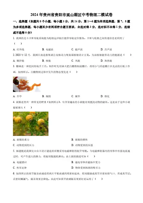 2024年贵州省贵阳市观山湖区中考二模物理试题(含解析)