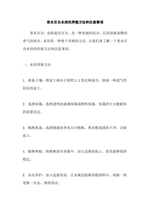 香水百合水培的养殖方法和注意事项