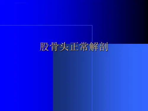 股骨头病变的影像诊断ppt课件