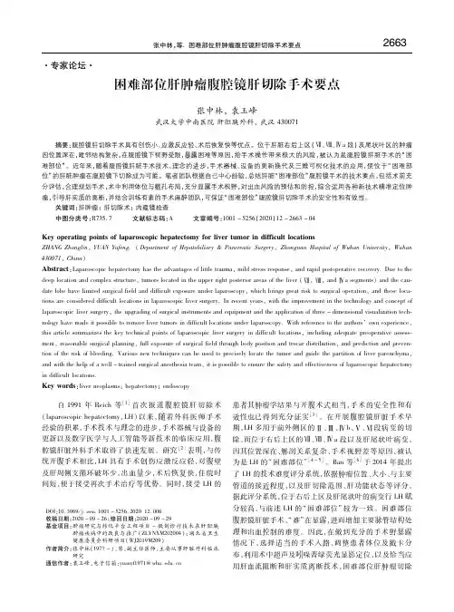 困难部位肝肿瘤腹腔镜肝切除手术要点