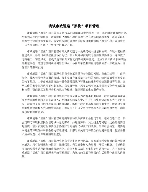 浅谈市政道路“黑化”项目管理