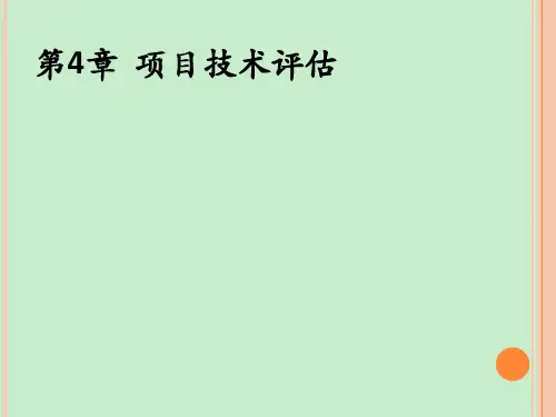 第4章 项目技术评估