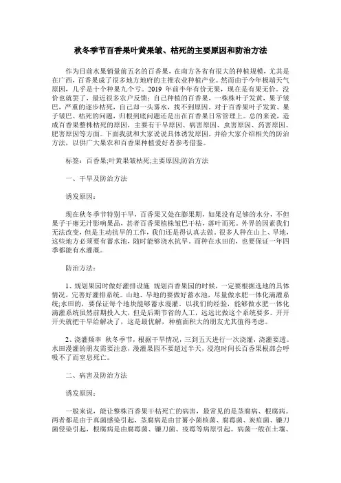 秋冬季节百香果叶黄果皱、枯死的主要原因和防治方法