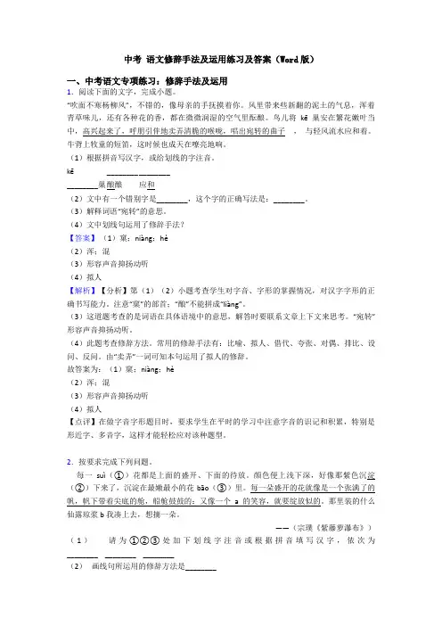中考 语文修辞手法及运用练习及答案(Word版)