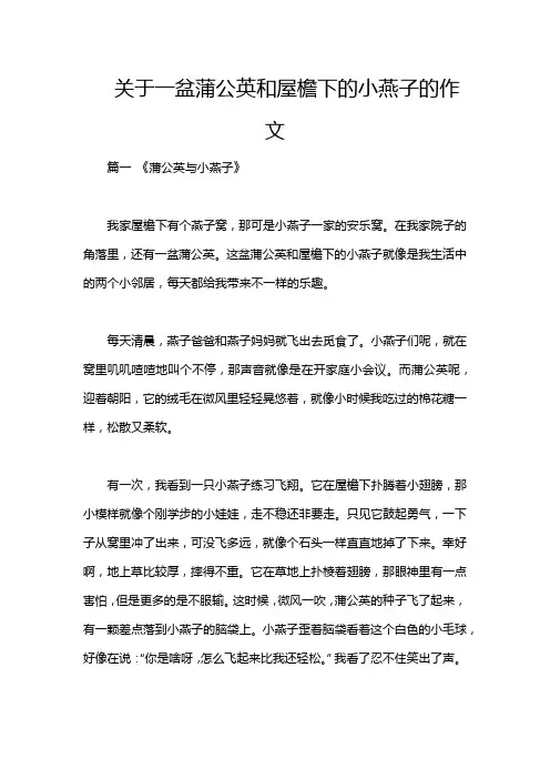 关于一盆蒲公英和屋檐下的小燕子的作文