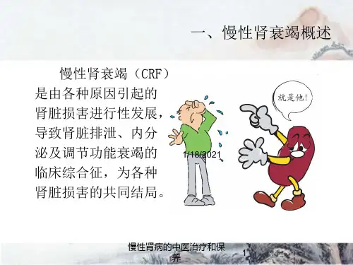 慢性肾病的中医治疗和保养培训课件
