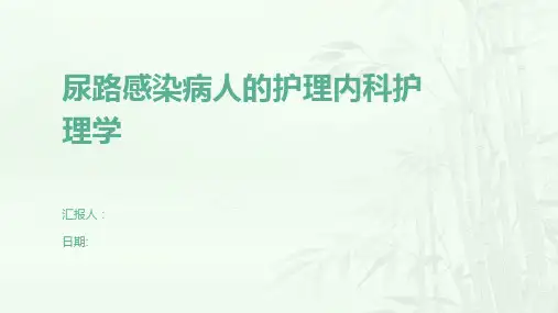 尿路感染病人的护理内科护理学