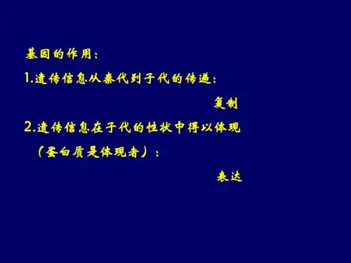 高中生物 基因的表达