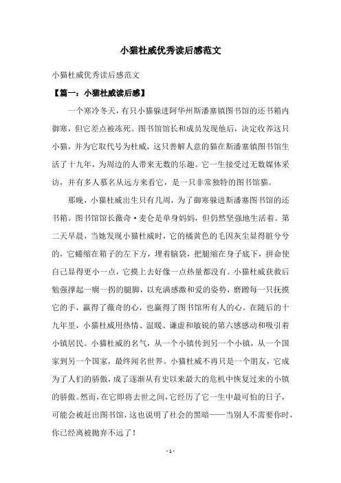 小猫杜威优秀读后感范文