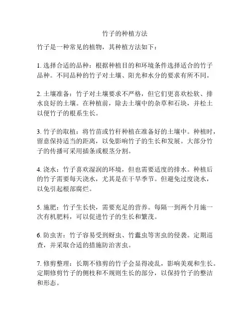 竹子的种植方法