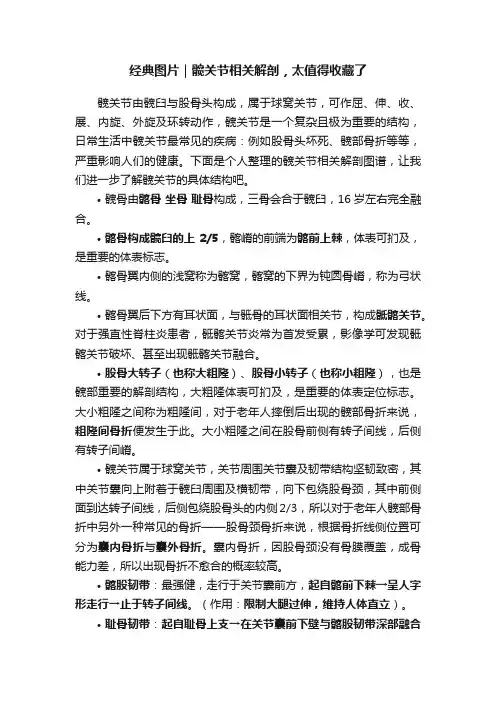 经典图片｜髋关节相关解剖，太值得收藏了