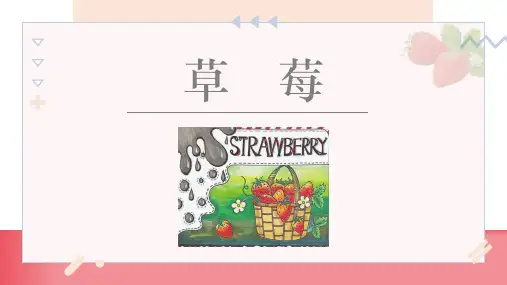 美术创意绘画教材《草莓》步骤解析课件