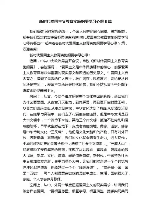 新时代爱国主义教育实施纲要学习心得5篇
