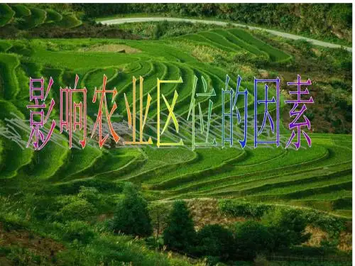 3.1 农业区位的选择
