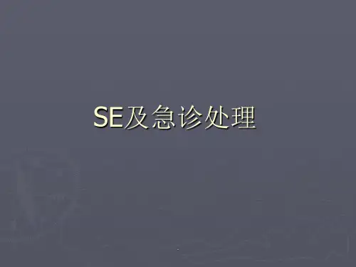 SE癫痫持续状态及处理