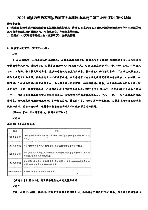 2025届陕西省西安市陕西师范大学附属中学高三第三次模拟考试语文试卷含解析