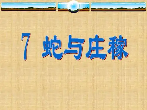 7《蛇与庄稼》课件