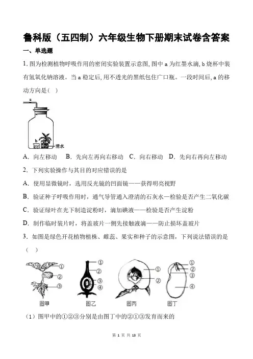 鲁科版(五四制)六年级生物下册期末试卷含答案