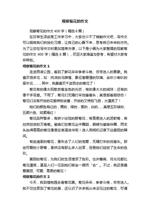 观察菊花的作文