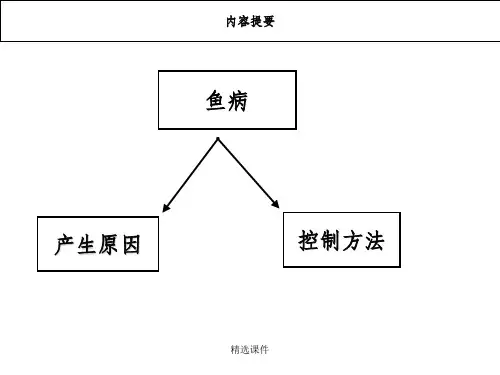 鱼类疾病的预防与治疗ppt课件