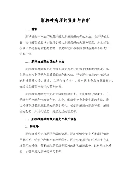 肝移植病理的鉴别与诊断