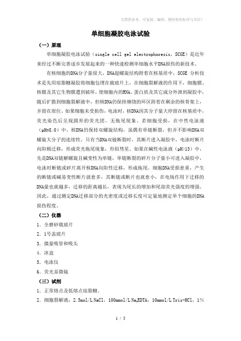 单细胞凝胶电泳试验