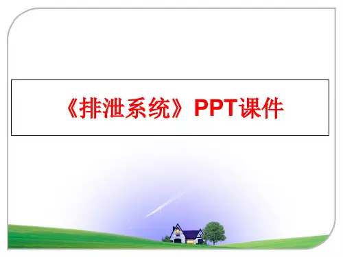 最新《排泄系统》PPT课件