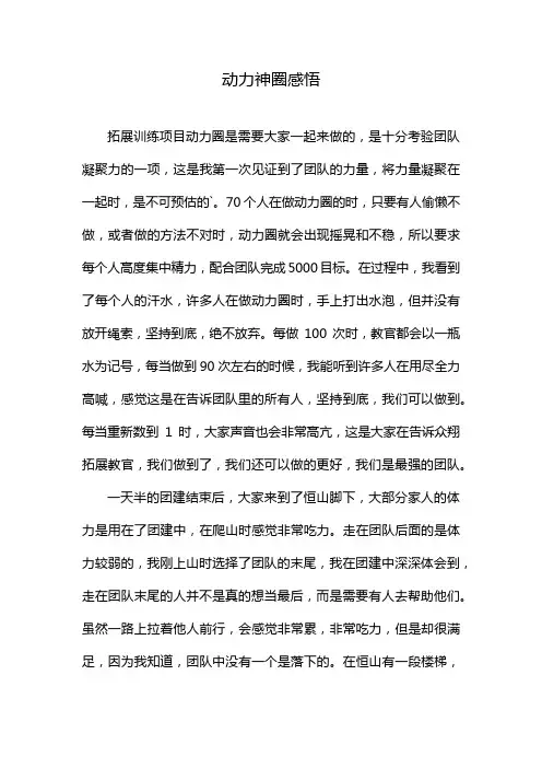 动力神圈感悟