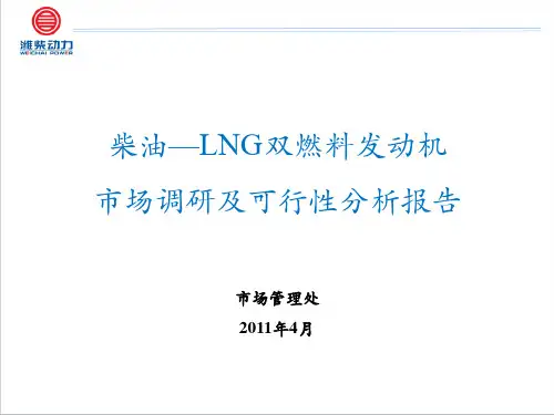 柴油-LNG双燃料发动机市场调研报告及可行性分析--最终